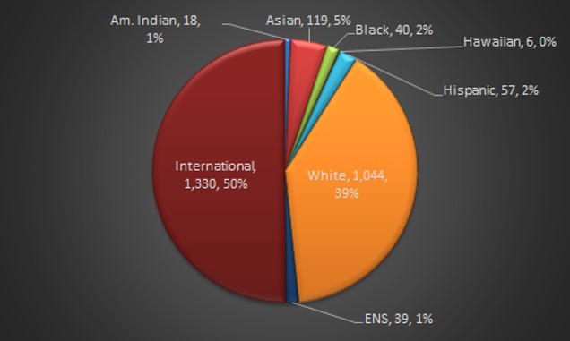 Ethnicity breakdown